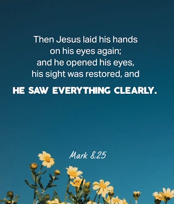 mark8 25 400